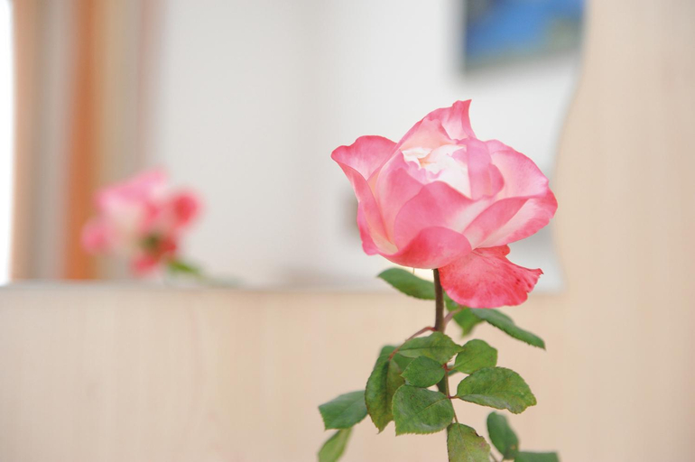 Others 2, Hotel-Garni Seestrand, Zell am See