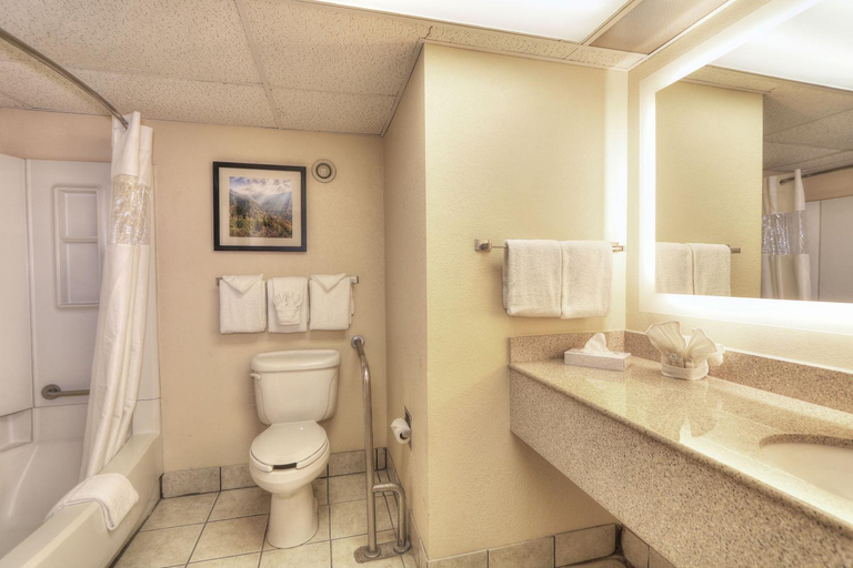 Bathroom 4, Edgewater Hotel and Conference Center, Sevier