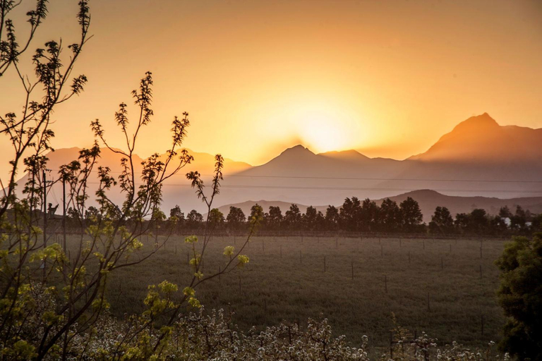 Others 4, Lentelus Farmstay, Overberg