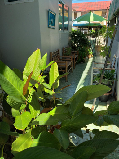 Others 3, Srikrung Guesthouse, Phra Nakhon Si Ayutthaya