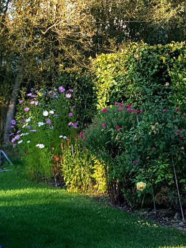 Others 5, Au Fond des Rys, Brabant Wallon