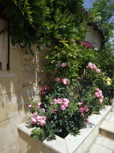 Others 5, Le Bosc, Lot-et-Garonne