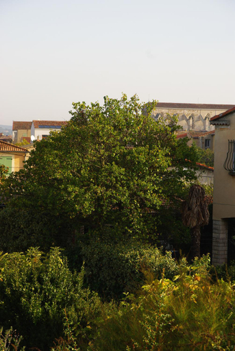 Others 2, Les Coronilles, Var