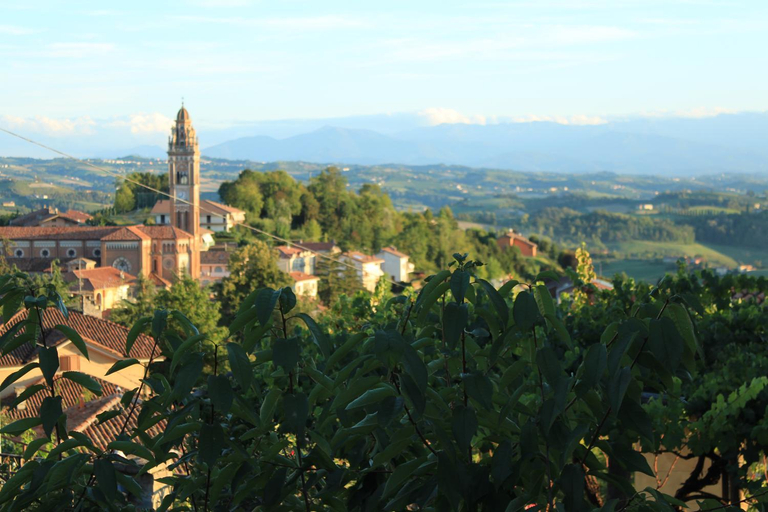Others 5, La Basiglia B&B, Cuneo