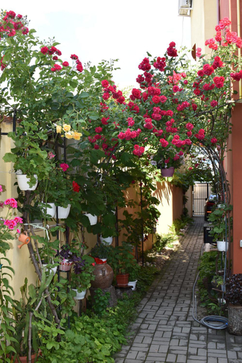 Others 2, Casa Mara, Tulcea