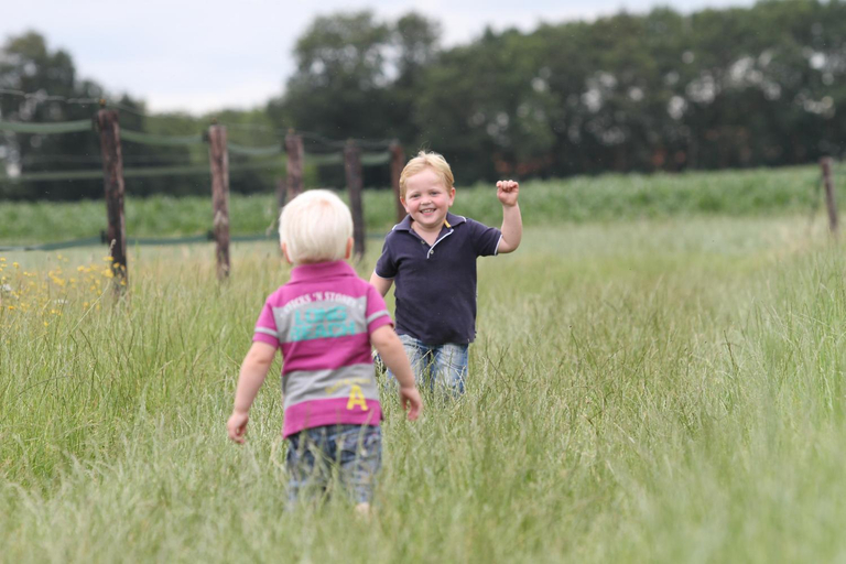 Others 5, Lenthe Farm Lodge, Raalte
