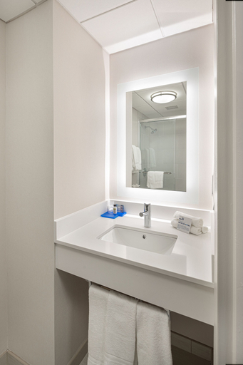 Bathroom 3, Holiday Inn Express & Suites ATLANTA DOWNTOWN by IHG, Atlanta