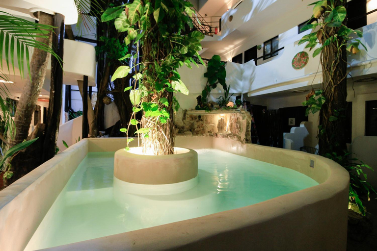 Sport & Beauty 5, Noraa Inn, Cozumel