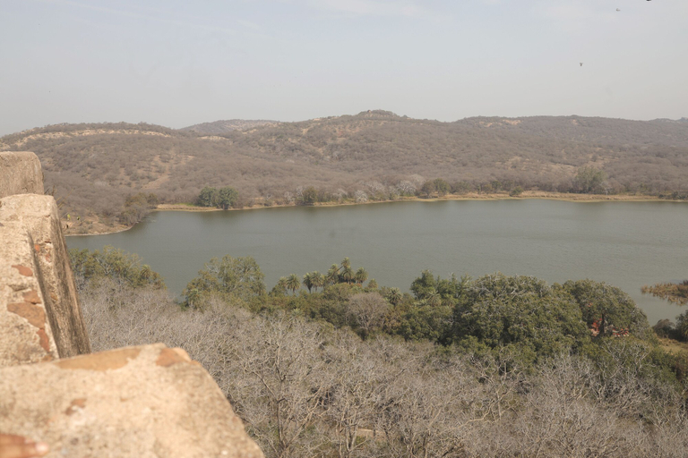 Others 5, Hem Vilas, Sawai Madhopur