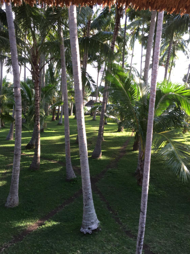 Others 5, IDA'S Homestay, Karangasem