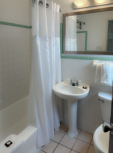 Bathroom 5, Avalon Hotel, Miami-Dade