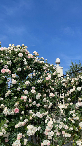 CORTE CAIAR Bed&Breakfast, Verona