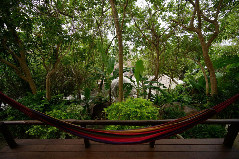 Others 5, Bubble Bungalow, Ko Phangan