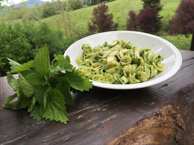 Food & Drinks 5, Agriturismo Gioie di Campagna, Ancona