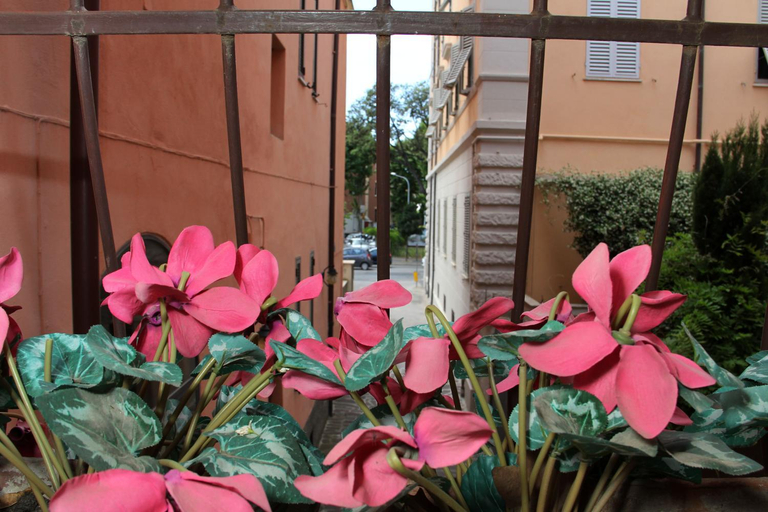 Others 5, Gemini camere e suites, Grosseto