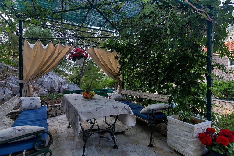 Garden, Apartments Beso, Makarska