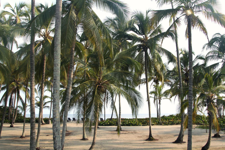 Others 3, Tayrona Tented Lodge, Santa Marta (Dist. Esp.)