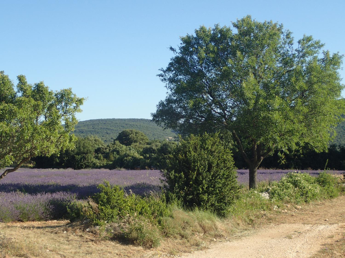 Others 5, le rocher de Sampzon, Ardèche