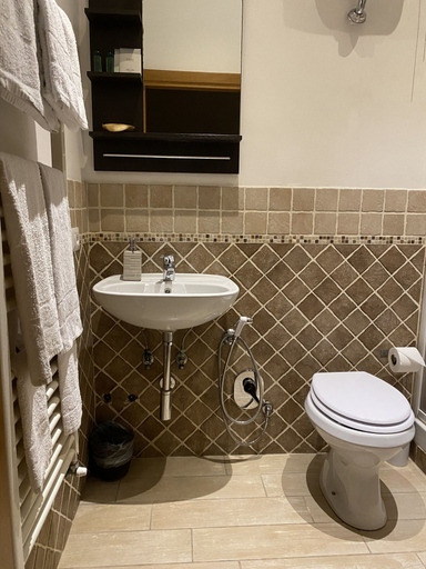 Bathroom, Il Vicolo di trastevere, Rome