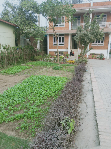 Others 5, 行者之家SUNFLOWER, Lumbini