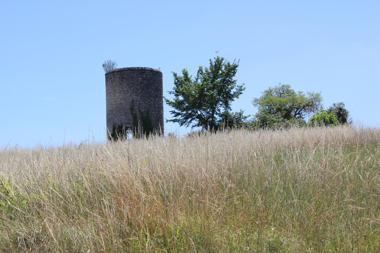 Others 2, Les charmes de Vincent - le loft Cabernet, Gironde