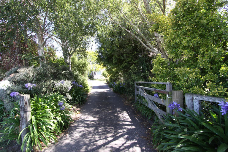 Others 4, Languor B&B, Carterton