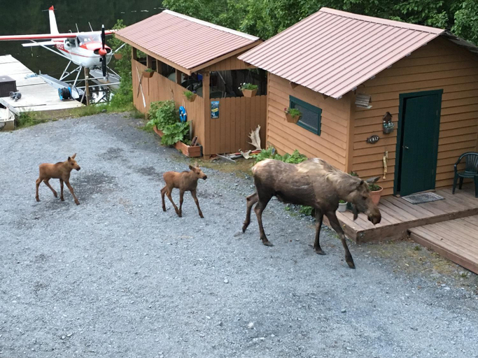 Others 5, Bear Lake Lodgings B&B, Inc, Kenai Peninsula