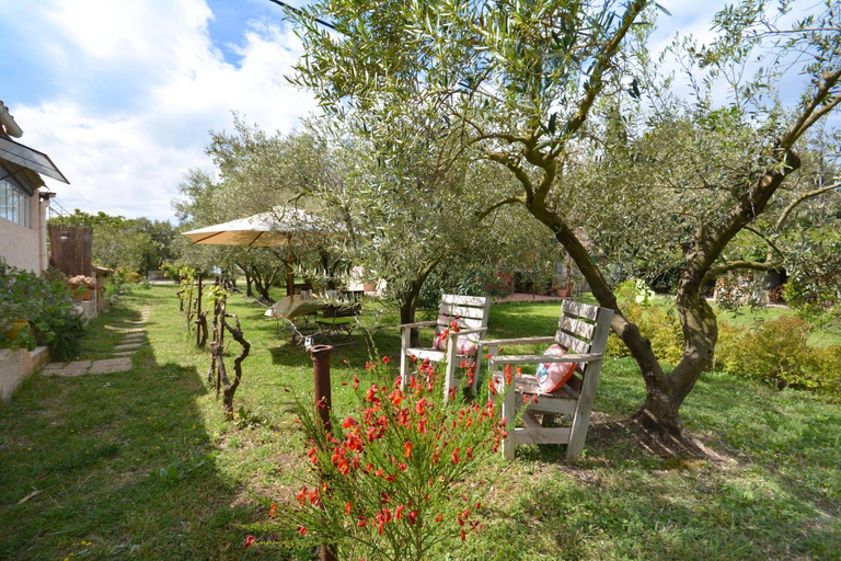 Others 2, le cabanon de l'olivette, Bouches-du-Rhône