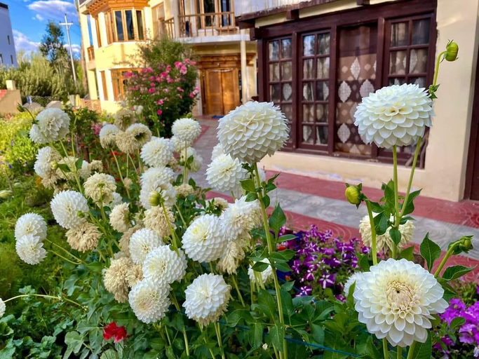 Others 5, Zaltak Guest House, Leh