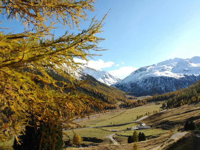 Others 3, Bed & Breakfast Campaciol, Sondrio