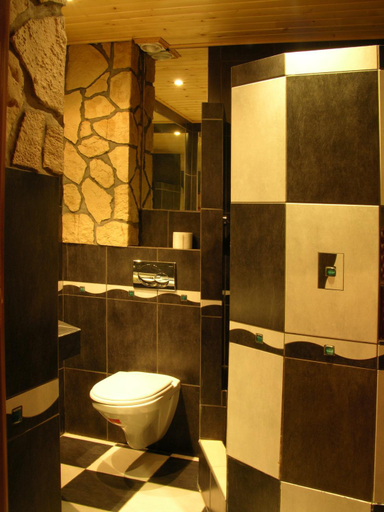 Bathroom, Wisla Mountain SPA, Cieszyn