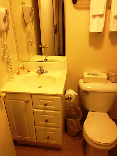 Bathroom, Woodstock Inn and Suites, Oxford