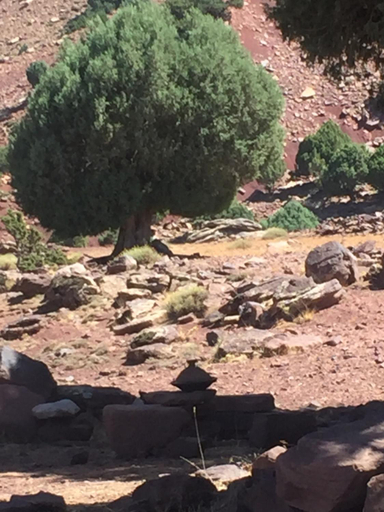 Others 5, Issouganes N Toubkal Maison d hotes, Al Haouz