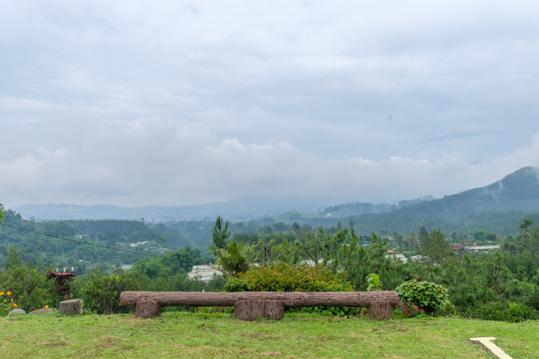Scenery 20