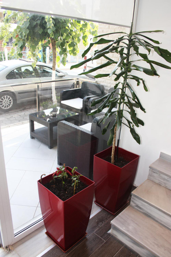 Public Area, Hotel Aulona, Sarandës