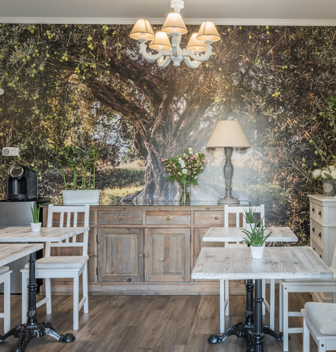 Public Area, B&b L'ulivo Fiumicino, Roma