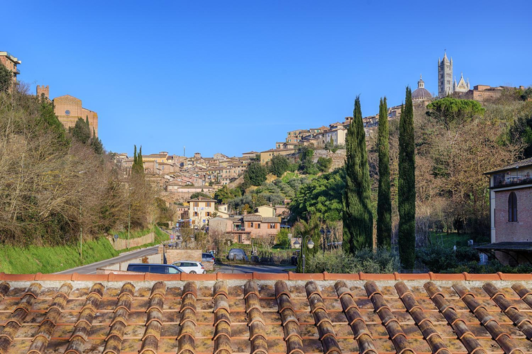 Others 4, Camere di Betta, Siena