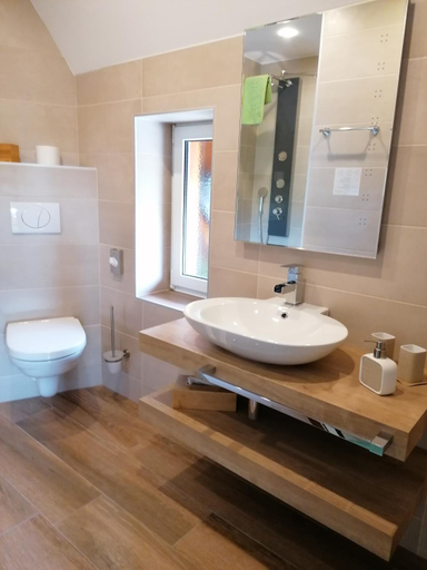 Bathroom, Landgasthof Plohnbachtal UG, Vogtlandkreis