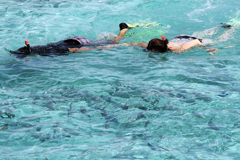 Sport & Beauty 5, Tropic Tree Hotel Maldives
