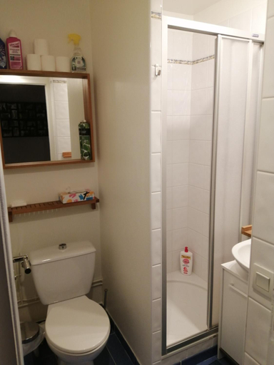 Bathroom, GINGER, Ille-et-Vilaine