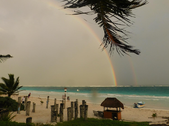 Others 5, Playa las palmas, Cozumel