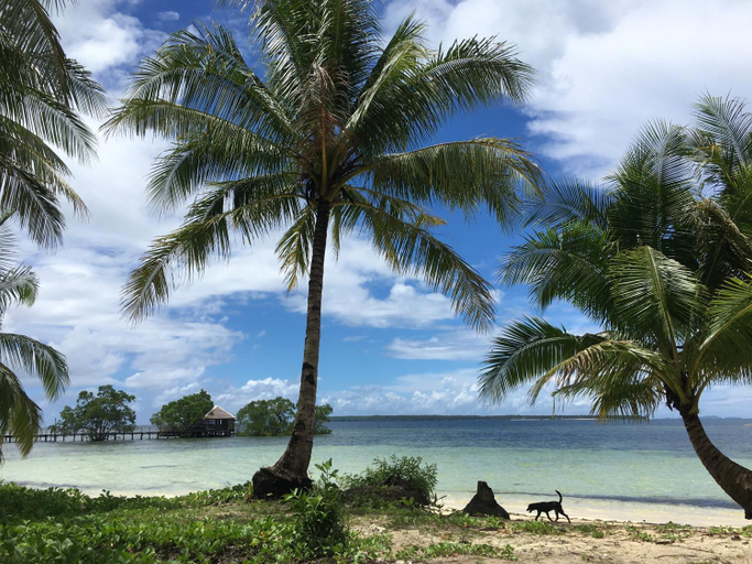 Others 4, Secret Spot Siargao, General Luna