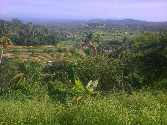 Scenery 8