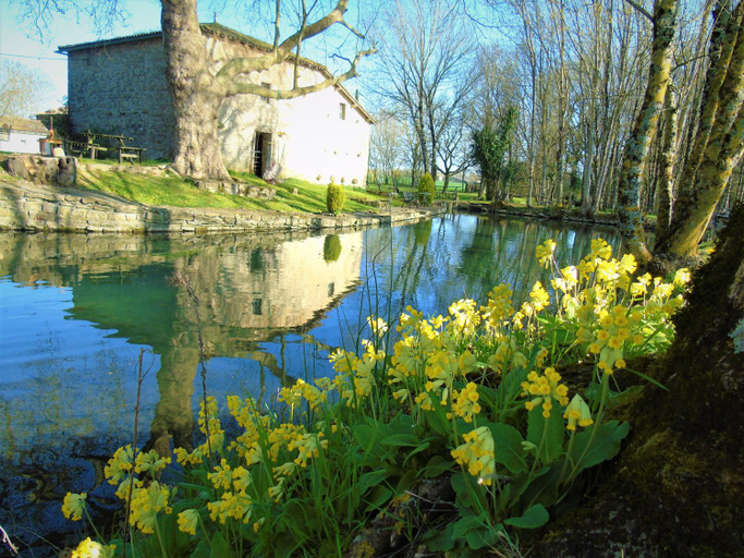 Others 3, Le Petit Moulin Tournesol BnB, Deux-Sèvres