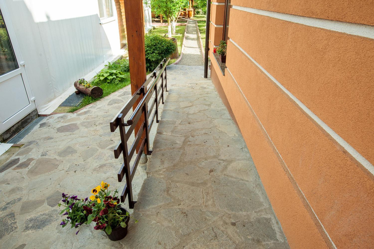 Others 2, Magic Garden by Vladut, Bacau