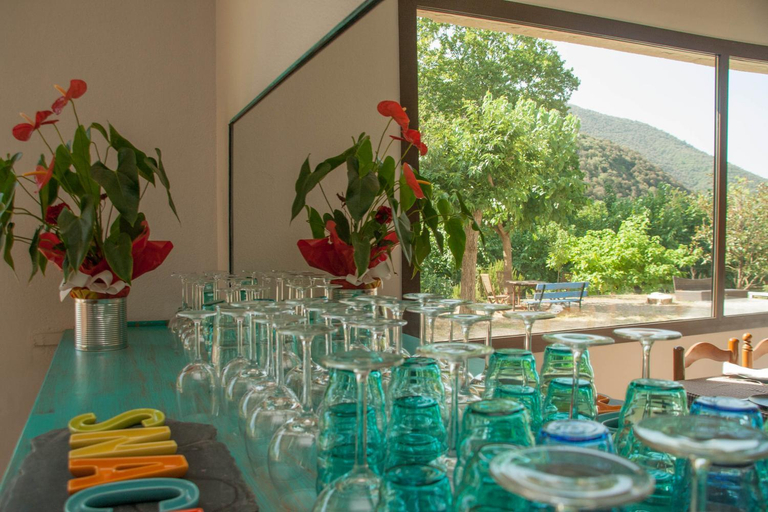 Food & Drinks 5, Hostal Sant Roc, Barcelona