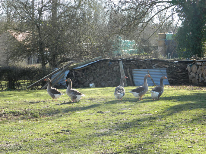 Others 3, Meubles de tourisme La Reserve, Cher