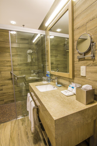 Bathroom 5, Radisson Hotel Guayaquil, Guayaquil