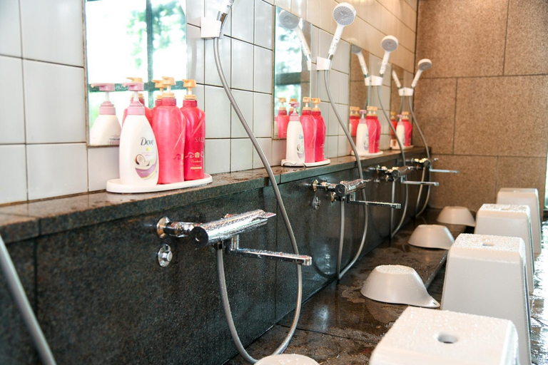 Bathroom, YUFUIN FLORAL VILLAGE HOTEL, Yufu