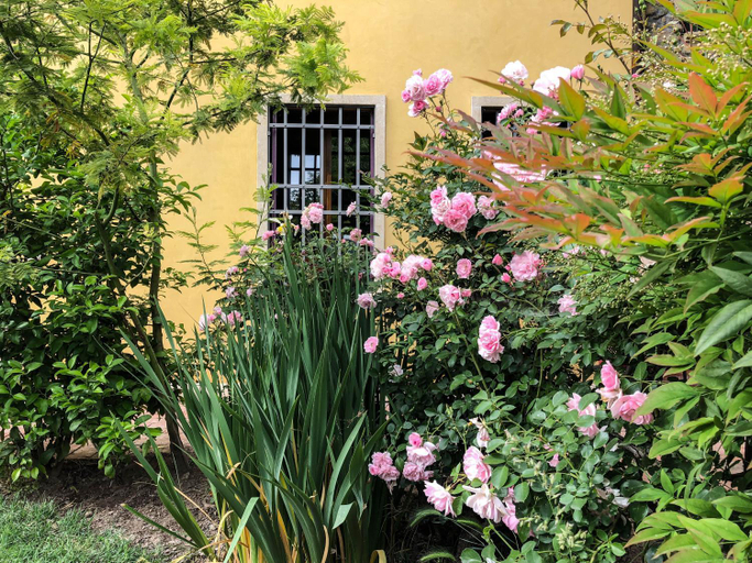 Others 3, B&B BAGOLARI, Vicenza